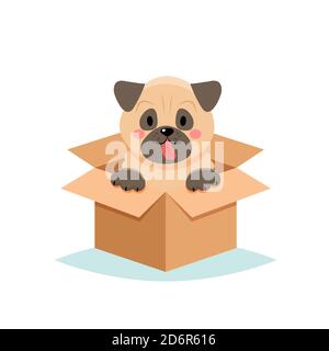 Adopt a pet - cute dog in a box, isolated on white background Stock Photo