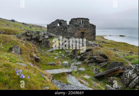 Ruins of the church. Hvalsey, a norse (viking) settlement in Greenland on the shore of Hvalseyfjord.  America, North America, Greenland, Denmark Stock Photo