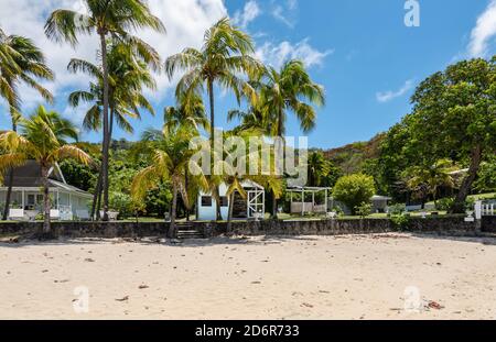 Beach with palm trees on Bequia Island, Saint Vincent and the Grenadines. Stock Photo