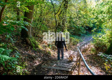 The 100 steps path leading to the River Tummel and footbridge in Pitlochry, Perthshire, Scotland, UK Stock Photo