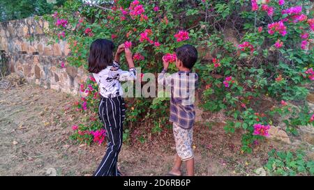 17 October 2020 : Reengus, Jaipur, India / Little girl and boy sniffing the scent of bougainvillea flowers Stock Photo