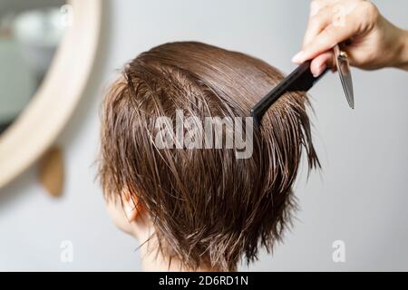 hairdresser combing client's wet hair. short brown hair Stock Photo