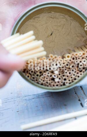 selfmade insect hotel for wild bees with straw, Germany Stock Photo