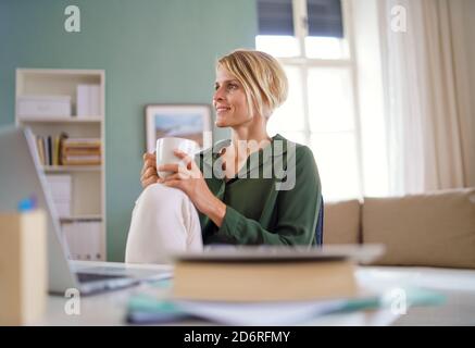 Portrait of business woman indoors in office sitting at desk, holding cup of tea. Stock Photo
