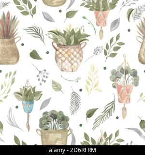 Seamless pattern of boho plants and indoor flowers in baskets and hanging pots. Vector illustration modern home decor Stock Vector