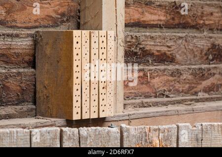 selfmade insect hotels for wild bees made with wooden boards, Germany Stock Photo