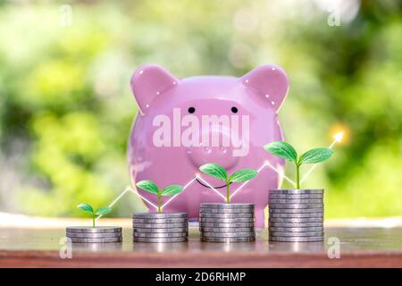 Growing saplings on a coin stack include a graph showing financial growth, investment concepts, and business growth. Stock Photo