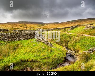 Dry stone walls and open moorland. Scar House. Nidderdale. Yorkshire Dales Stock Photo