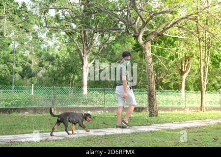 Dog follow man wearing mask while taking a walk at the park. Outdoor activity with pet dog during pandemic. Stock Photo