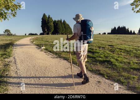 Back view of unrecognizable male traveler with rucksack and wooden stick walking on rough path between trees in summer Stock Photo
