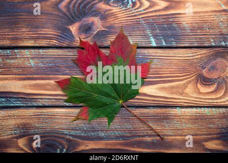 One green and red maple autumn leaf lies on a vintage wooden background top view Seasonal concept. Autumn is coming Stock Photo