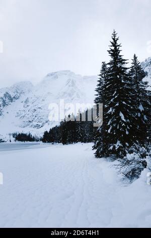 Narrow frozen river flowing between woods with spruce trees in overcast snowy weather in wintertime Stock Photo