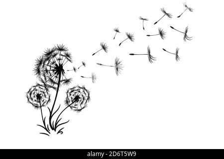 dandelion with flying seeds illustration Stock Vector