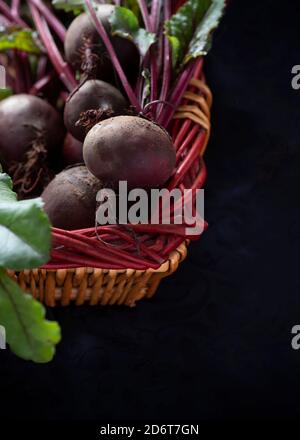 organic beetroot  freshly picked  whole vegetable with leaves from the allotment or garden  copy space in background to right and base of vertical ima Stock Photo