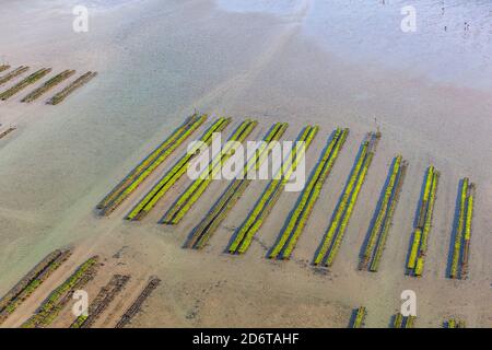 Noirmoutier Island (western France): aerial view of oyster beds at low tide in the Bay of Bourgneuf Stock Photo
