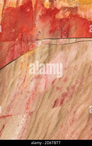 Close up photograph of the structural detail in a piece of sliced and polished petrified wood from Mexico Stock Photo