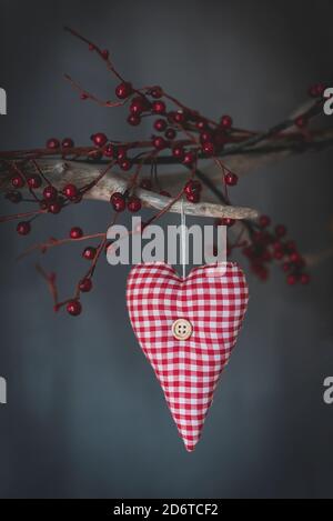 Soft textile checkered heart hanging on tree branch with decorative red berries on gray background in studio Stock Photo