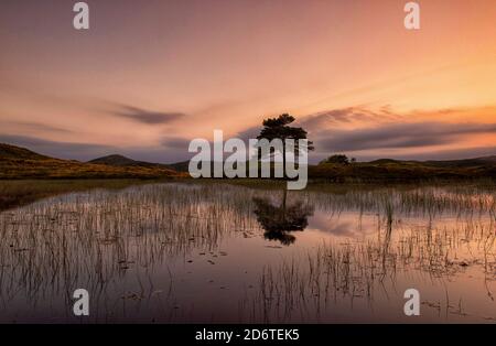 Sunset at Kelly Hall Tarn in the Lake District, Cumbria England UK Stock Photo