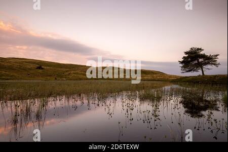 Sunset at Kelly Hall Tarn in the Lake District, Cumbria England UK Stock Photo