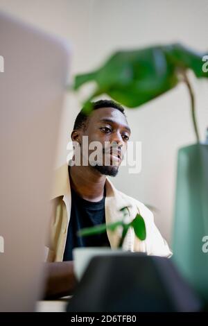 From below of young concentrated African American freelancer in casual clothing working on laptop at table with green pot plants Stock Photo