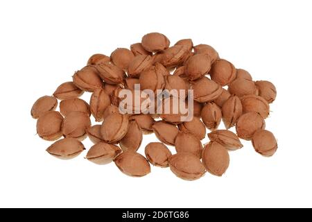 Dry cherries seeds heap lie on table. Isolated on white studio macro Stock Photo