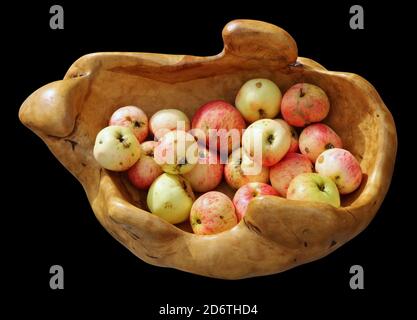 Wooden homemade vase with autumn apples isolated on black Stock Photo