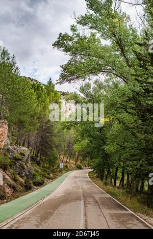 Empty curved asphalt road leading between green forest and mountains in cloudy summer day Stock Photo