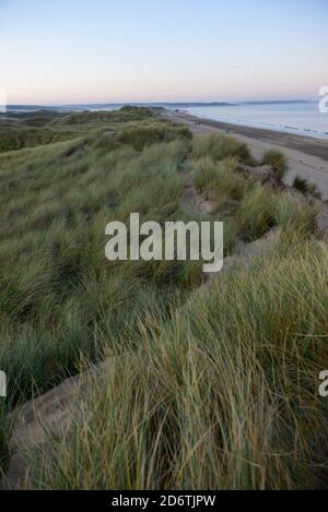 The Biville dunes along the coast of Normandy, on the Cotentin Peninsula. Overview of the Biville dunes at dusk. The site is a protected natural area Stock Photo