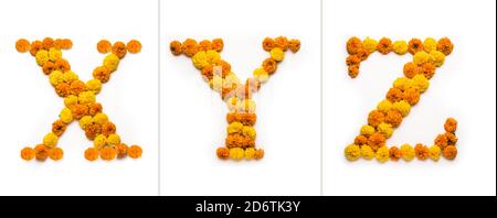 English number, digit or alphabate made with marigold or zendu from flowers Stock Photo