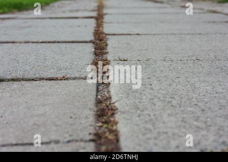 gray concrete slabs - walkway in the park close up background Stock Photo