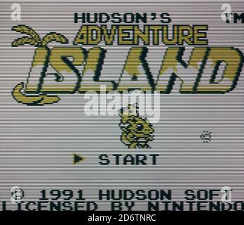 Adventure Island - Nintendo Gameboy Videogame - Editorial use only Stock Photo