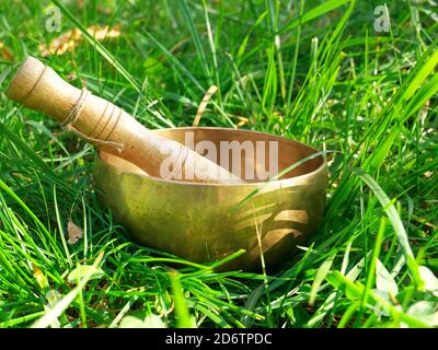 Singing bowl placed in the fresh green grass Stock Photo