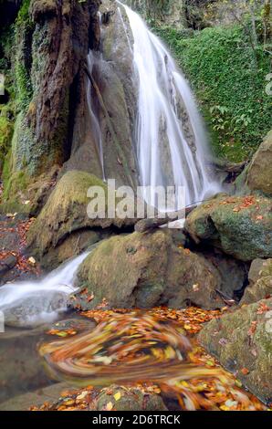 The river Altube swirls of fallen leaves in the beech forest of Altube Alava, Pais Vasco, Spain Stock Photo
