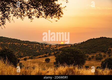 Sunset landscape between mountains with trees and sun shining in the b Stock Photo