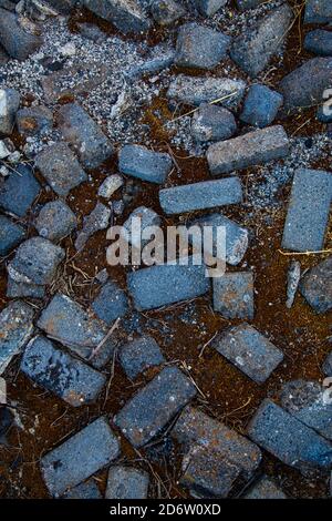 Heap texture of black bricks and various lichens Stock Photo