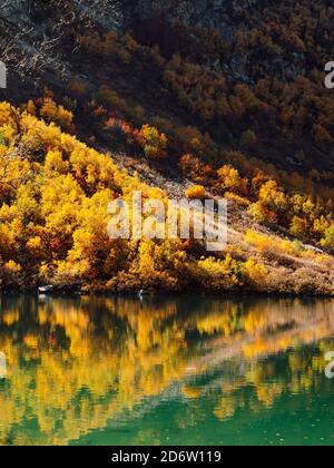 Mountain lake with transparent water and autumnal trees Stock Photo - Alamy