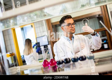 Young researcher checking test tubes in the laboratory Stock Photo
