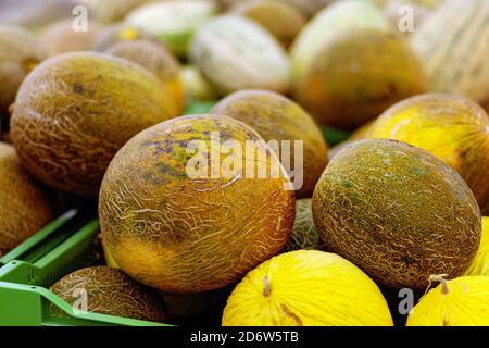 pile of different sorts of melons for sale in grocery store Stock Photo