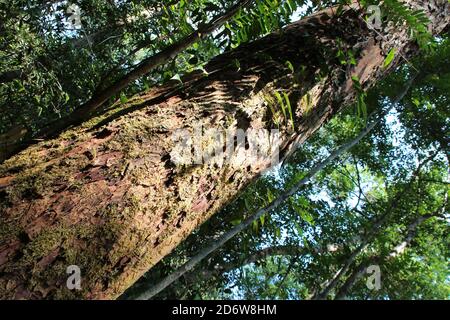 the phou khao khouay park in laos Stock Photo