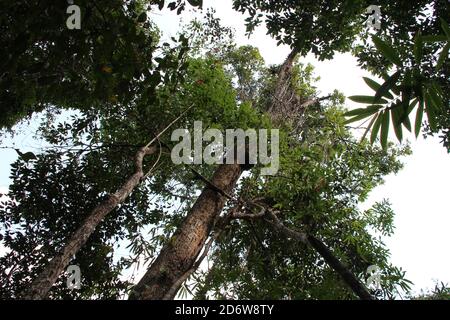 the phou khao khouay park in laos Stock Photo