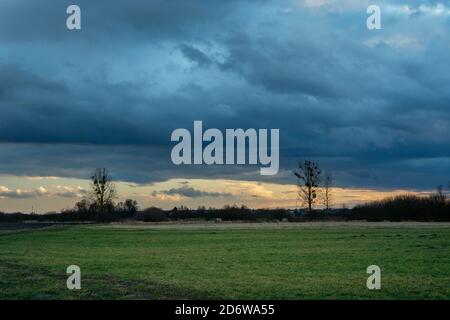 Green meadow, trees to the horizon and dark storm clouds Stock Photo