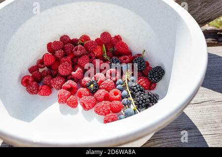 Fresh raw organic summer berries in round bowl. Raspberries, blackberry, strawberry, grapes.