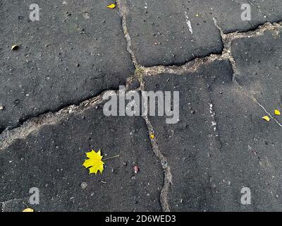yellow leaf in autumn on cracked asphalt road, bad roads concept Stock Photo