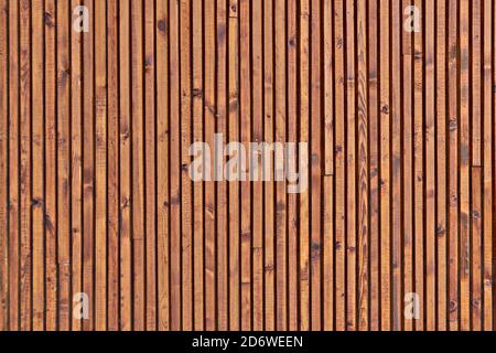 The texture of the surface of the wooden planks. Background of the ceiling cladding planks. Smooth boards with knots. Stock Photo