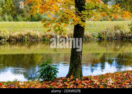 Cloudy sky reflecting on the river water, surrounded of the warm colors of the autumn Stock Photo