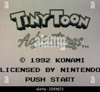 Tiny Toon Adventures Bab's Big Break Nintendo GameBoy Game For Sale