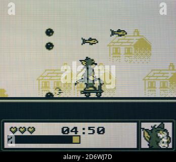  Tom & Jerry : Nintendo Game Boy Color: Video Games