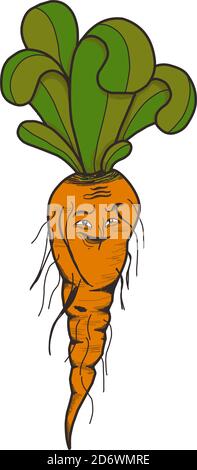 Mandrake character. Root with face. The magic root vegetable. Isolated on white Stock Vector