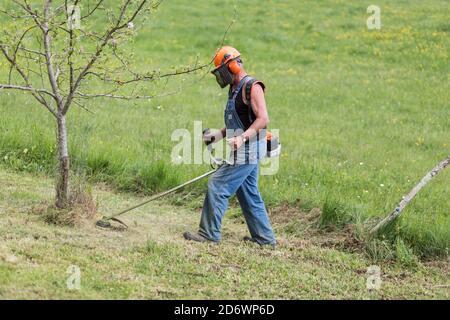 Landscaper using a thermal brush cutter. Stock Photo