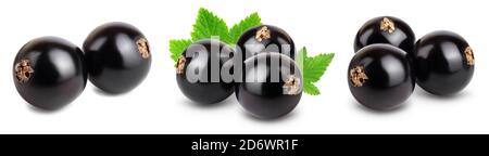 black currant with leaves isolated on white background with clipping path and full depth of field. Set or collection Stock Photo